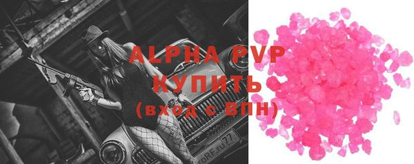 бошки Пересвет