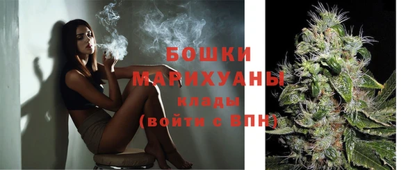 spice Покачи