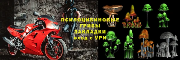 герыч Пестово