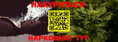 прущие грибы Усть-Илимск
