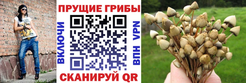 Псилоцибиновые грибы MAGIC MUSHROOMS  Сорочинск 