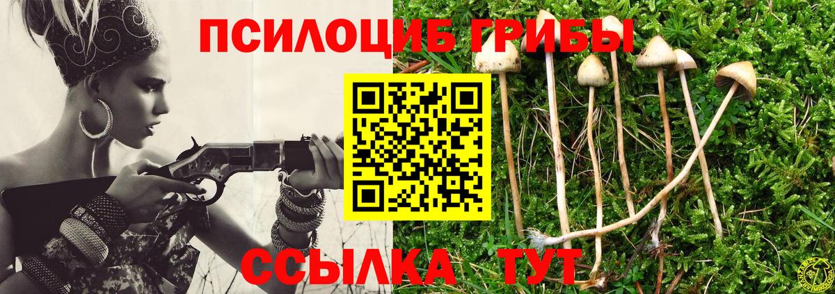 Псилоцибиновые грибы ЛСД  Галлюциногенные грибы Psilocybe  купить наркоту  Вход с VPN  Сорочинск 