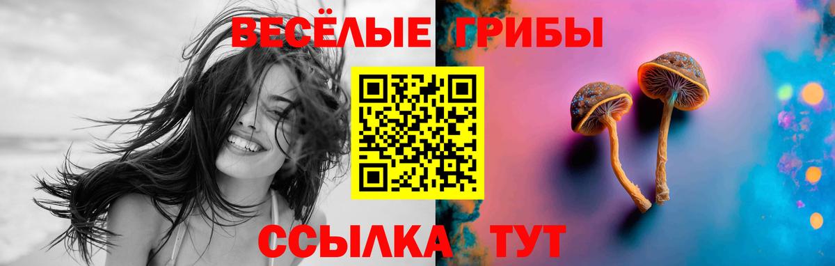 Галлюциногенные грибы Cubensis Сорочинск
