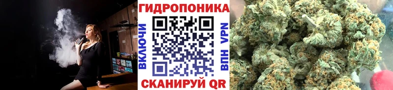 закладки  Сорочинск  Каннабис OG Kush 